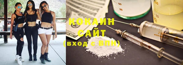 прущие грибы Гусь-Хрустальный