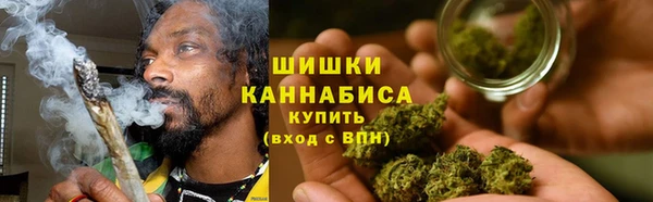 прущие грибы Гусь-Хрустальный
