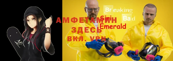 прущие грибы Гусь-Хрустальный