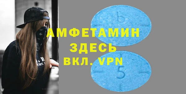 прущие грибы Гусь-Хрустальный