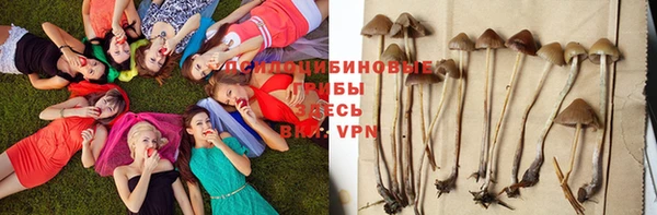 МДМА Гусев