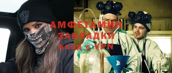 прущие грибы Гусь-Хрустальный