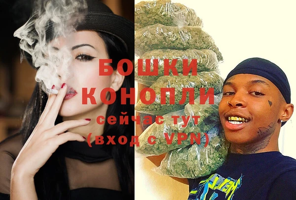 прущие грибы Гусь-Хрустальный